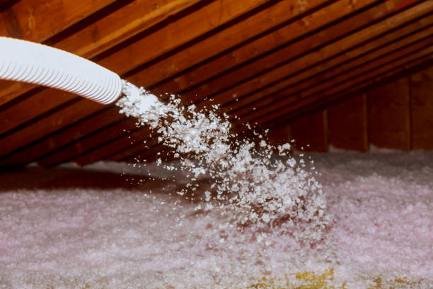 Best Commercial Insulation Contractor  in Thibodaux, LA