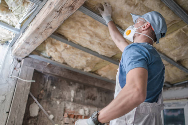 Best Insulation Contractors for Homes  in Thibodaux, LA