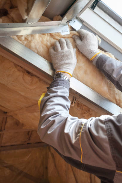 Best Fiberglass Insulation  in Thibodaux, LA