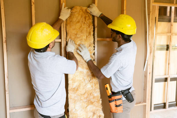 Best Spray Foam Insulation  in Thibodaux, LA