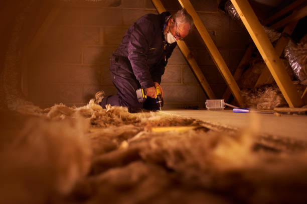 Best Insulation Repair Services  in Thibodaux, LA